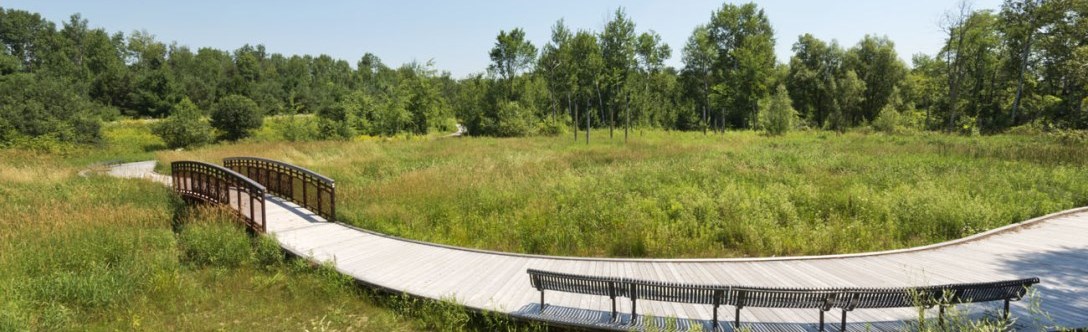 East Humber Trail
