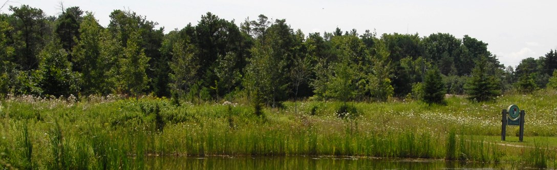 Richmond Hill Environment