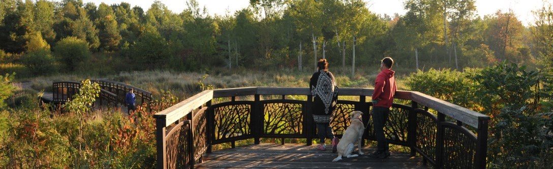 Couple with dog over looking East Humber Trail