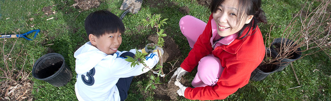 Tree Planting