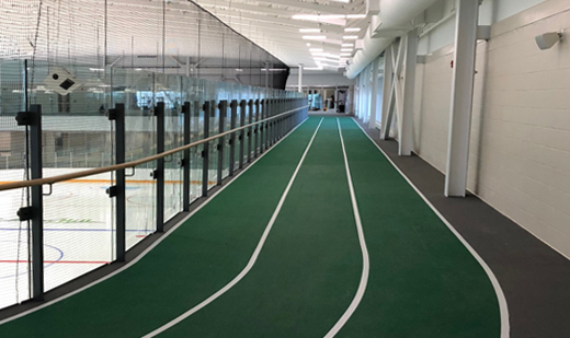 David Hamilton Park Ed Sackfield Arena construction progress