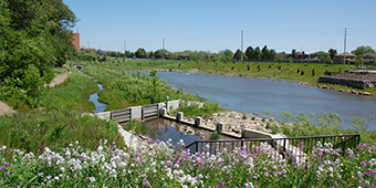 Pioneer Park Stormwater Management Facility