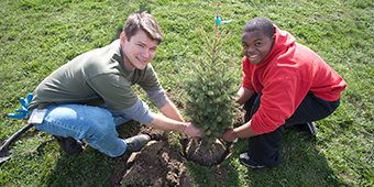 Tree Planting