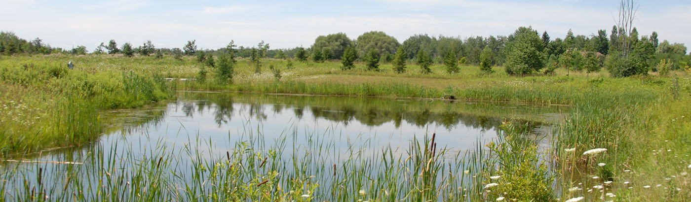 Phyllis Rawlinson Park