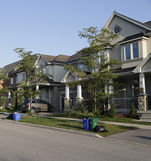 View our Garbage and Recycling page